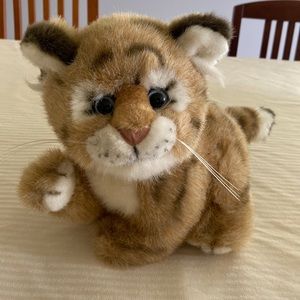 Morehead Collection Endangered Youngins Tiger